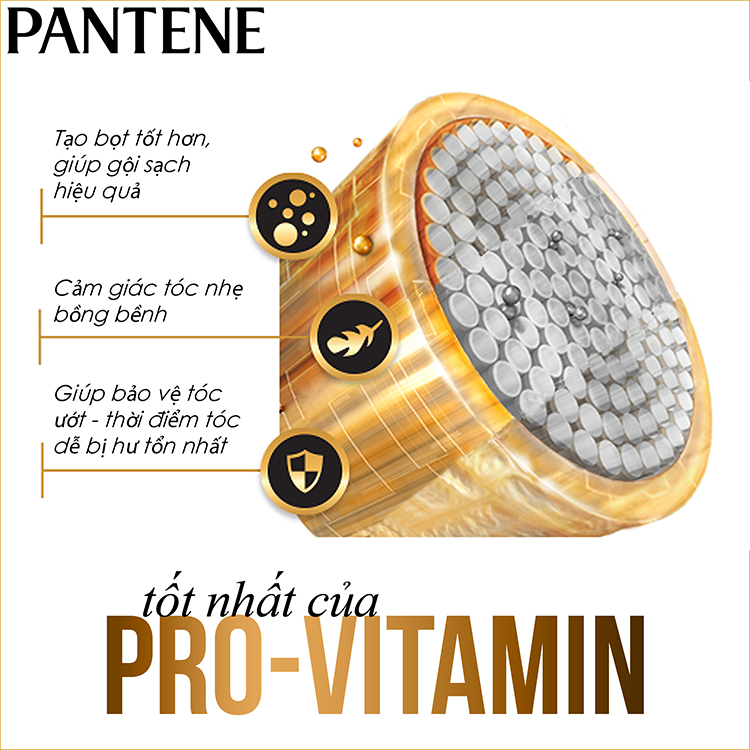 Combo 2  Dầu Gội Pantene Ngăn Rụng Tóc 900ml [Tặng Combo 24 Gói Dầu Xả Pantene Ngăn Rụng Tóc] 
