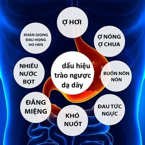 GỐI TRÀO NGƯỢC DẠ DÀY NGƯỜI LỚN YOROKOBI, KÍCH THƯỚC 70 60 18CM (Bo tròn chống trượt), HỖ TRỢ TRÀO NGƯỢC ACID, Ợ CHUA, THOÁI HÓA CỘT SỐNG CỔ, HÀNG THƯƠNG HIỆU- GHI NHẬT 1