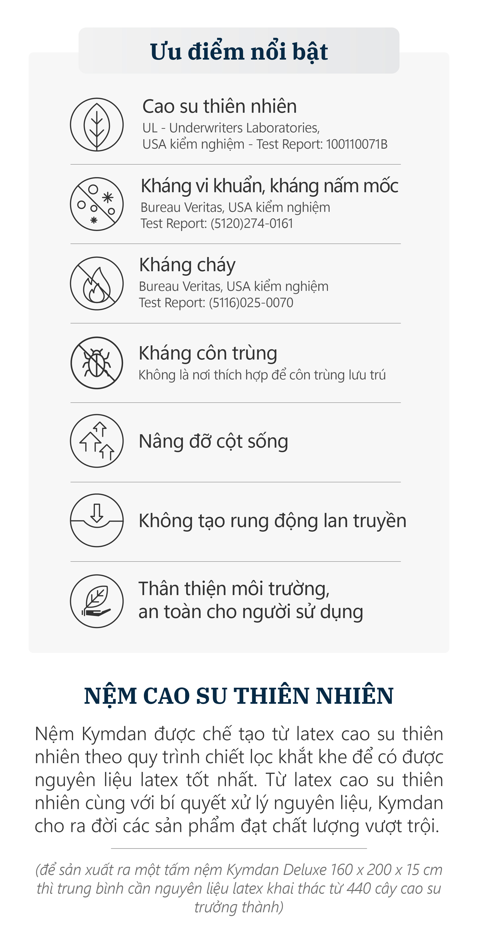 Nệm cao su thiên nhiên Kymdan Deluxe 140 x 200 x 10cm SFM