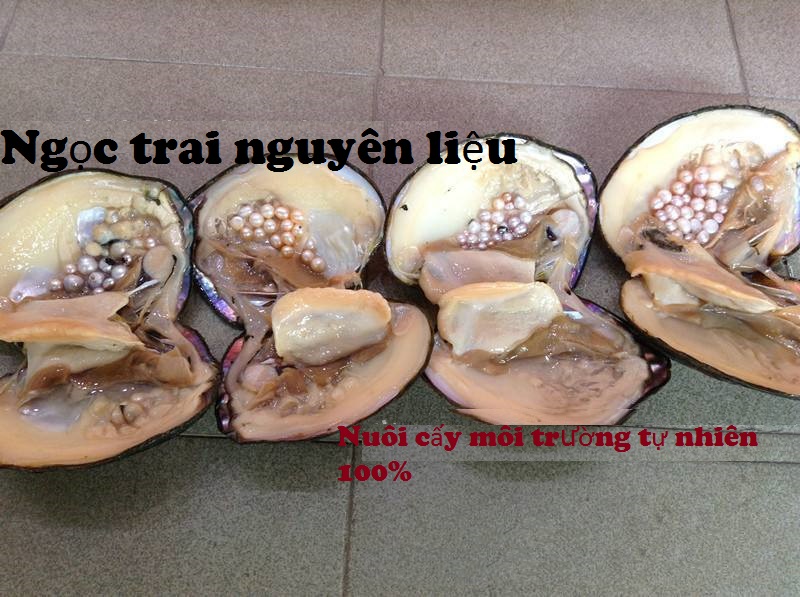 Combo Hoa Tai Ngọc Trai Thiên nhiên, kèm bản PHOTOCOPY giấy KIỂM ĐỊNH SJC và Túi Nhung.