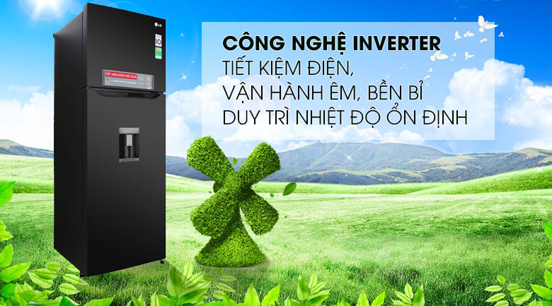 Tủ Lạnh Inverter LG GN-D315BL (315L) – Hàng Chính Hãng