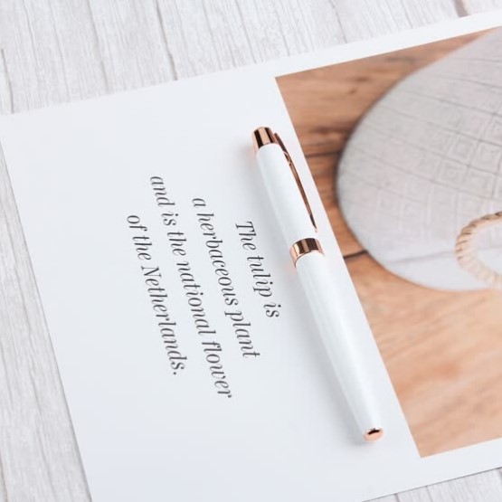 Picasso pen pen pen adult student with calligraphy pen ink pen 0.5mm Fei Diqi series 920 white