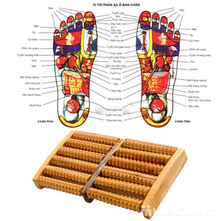 Bàn Lăn Massage Chân Bằng Gỗ 5 Hàng, 6 Hàng, 7 Hàng, 8 Hàng Giúp Lưu Thông Kinh Mạch, Cải Thiện Giấc Ngủ, Bảo Vệ Sức Khỏe – Bàn Lăn Chân Gỗ Cho Văn Phòng, Gia Đình