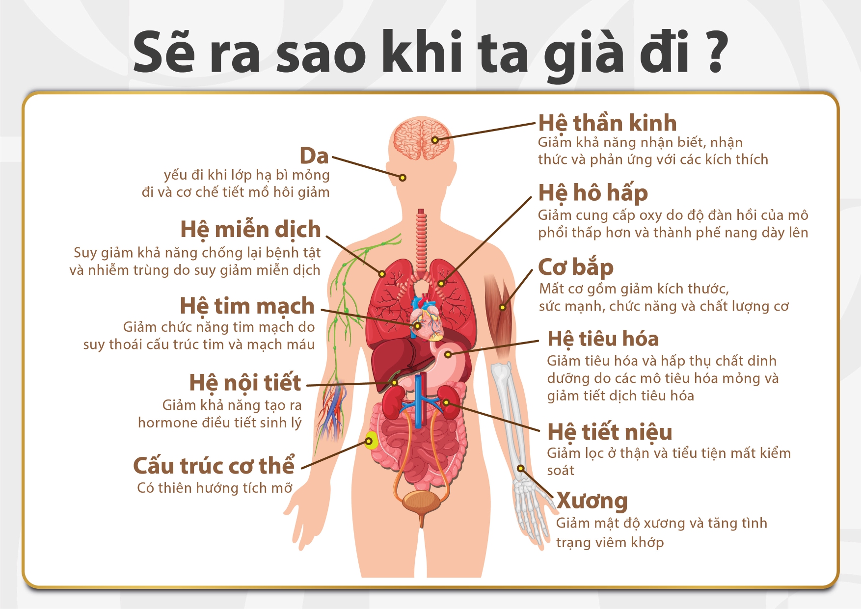 Viên uống bổ sung lợi khuẩn IMPERIUM ULTIMATE RESTORE khởi đầu cuộc sống lành mạnh với sức khỏe tiêu hóa tốt hơn, tăng cường miễn dịch, quà tặng ý nghĩa cho cấp trên, bạn bè, đồng nghiệp, người thân (15 viên/lọ)