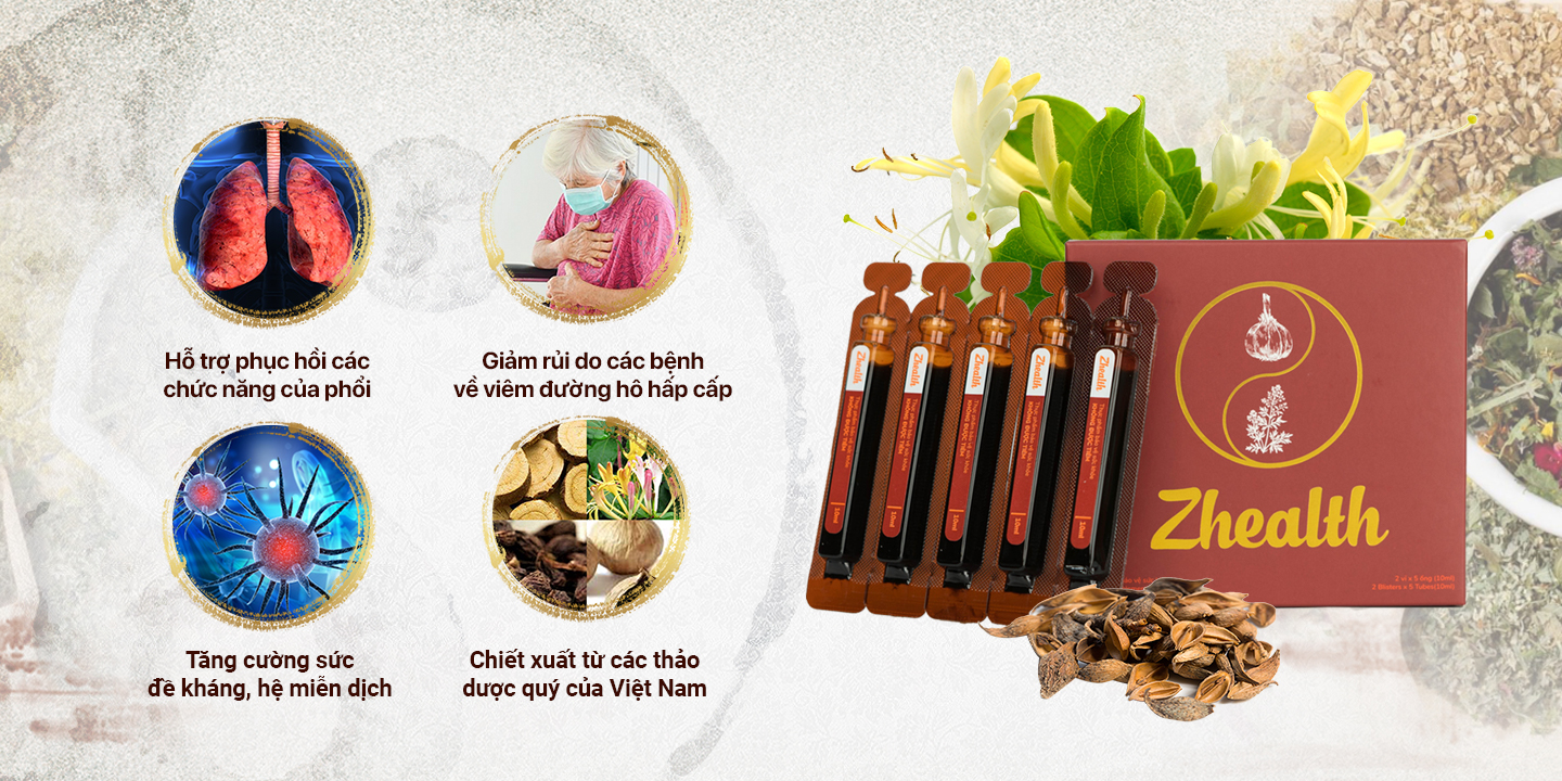 COMBO 2 HỘP Siro Ho Bổ Phế Thảo Dược ZHEALTH Giảm Ho, Viêm Họng, Tăng Cường Hệ Miễn Dịch(Hộp 2 vỉ x 5 ống)