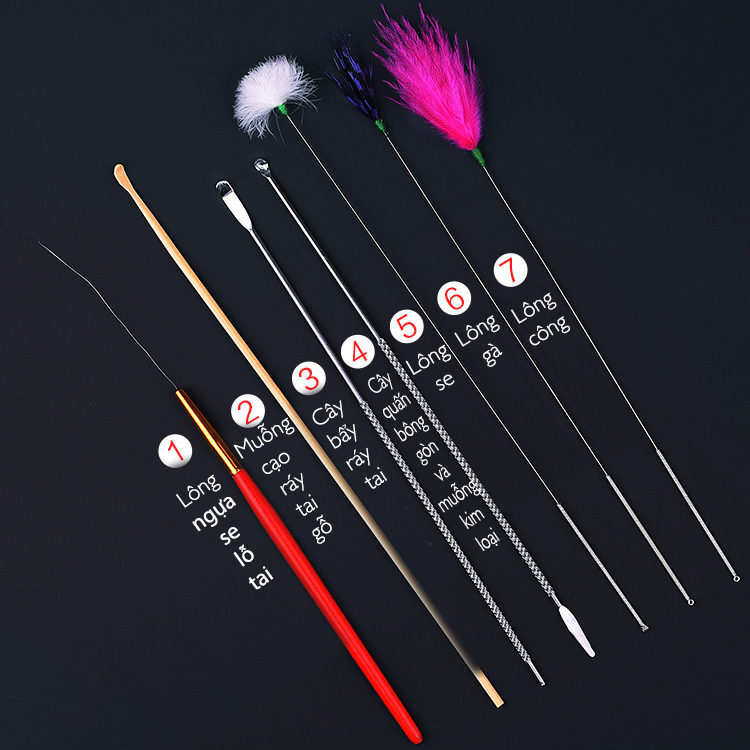 Bộ dụng cụ lấy ráy tai 12 món có túi