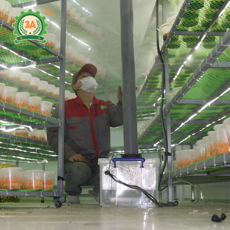 Máy tạo ẩm nhà nấm đông trùng hạ thảo 3A260W (08)