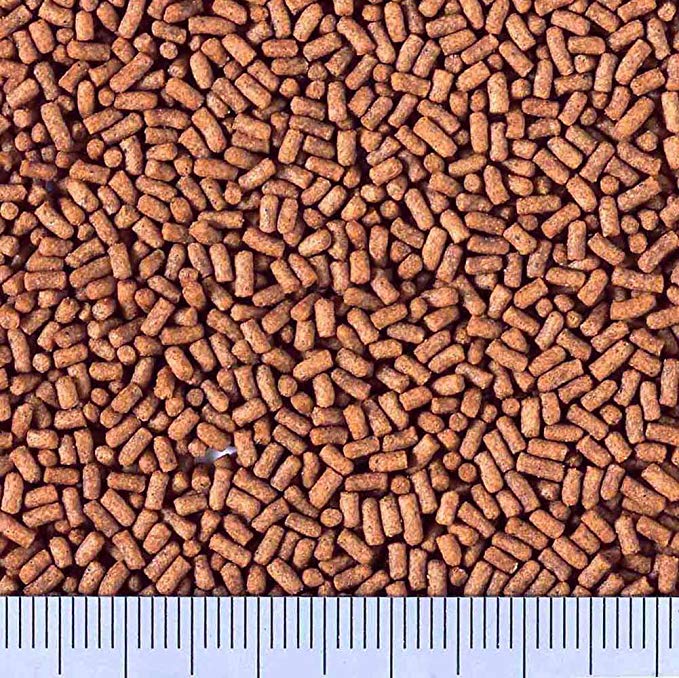 Thức Ăn Tạo Màu Cho Các Loại Cá Vàng 200G giàu dinh dưỡng, giúp cá lên màu đẹp ( Xanh)