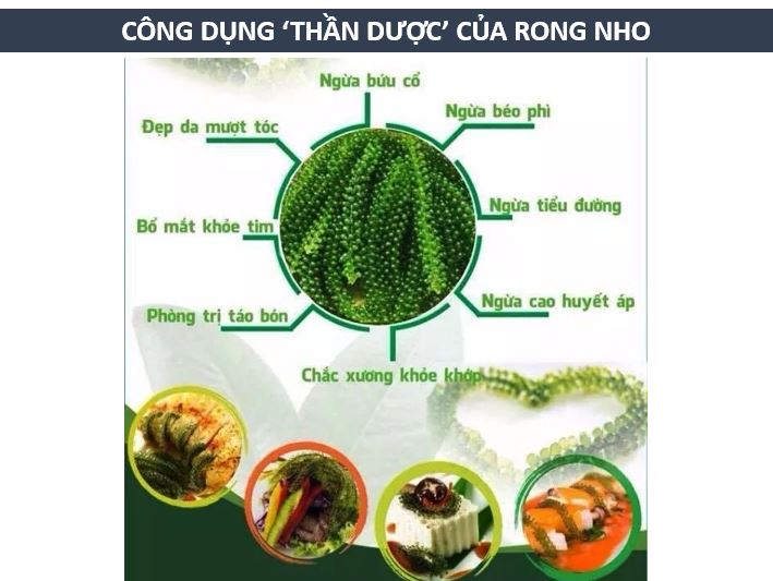 Combo 2 hộp Rong nho tươi tách nước Okinawa 100g (5 gói x 20g) + tặng kèm 2 gói bánh trứng Gia Khánh 3