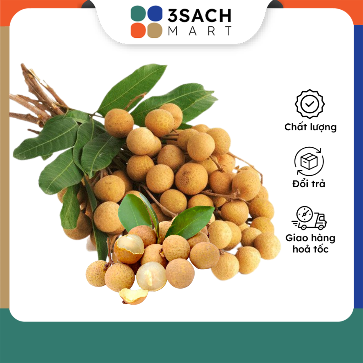 Nhãn Xuồng Trái Cây Vườn Citi Fruit
