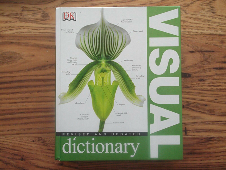 Visual Dictionary