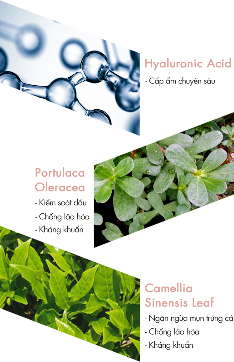 Tinh chất dưỡng chuyên sâu, phục hồi và điều trị da sau 30 ngày F2G Science 30Days Florawater Ampoule Program (2ml x 30pcs)