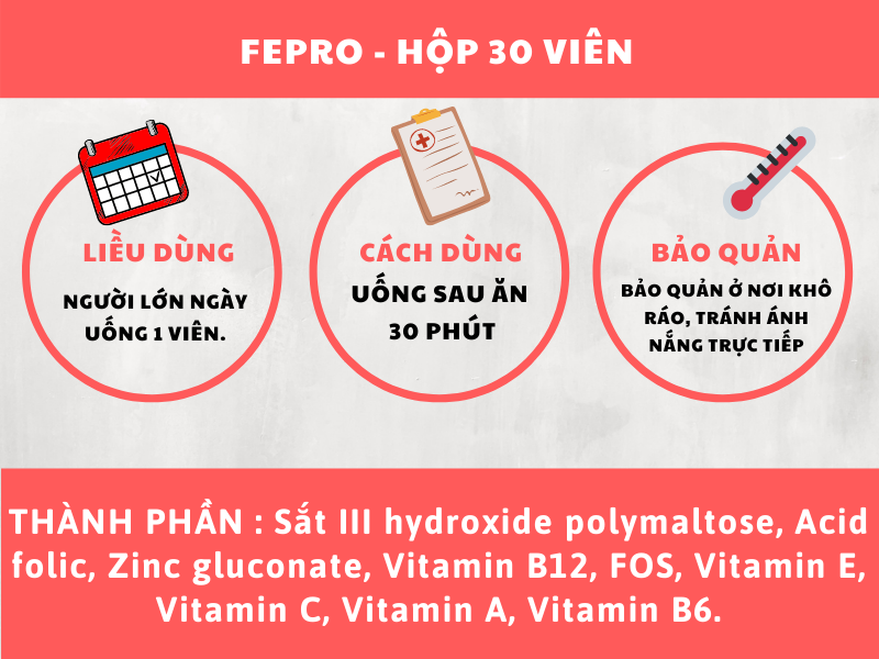 FePro - Bổ sung sắt, Hỗ trợ quá trình tạo hồng cầu, Giúp phòng ngừa và giảm nguy cơ thiếu máu do thiếu sắt (Hộp 30 viên) 3