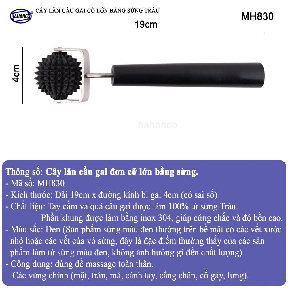 Cây lăn cầu gai bằng sừng trâu cỡ lớn đơn - Dụng cụ diện chẩn (MH830) Chăm sóc sức khỏe