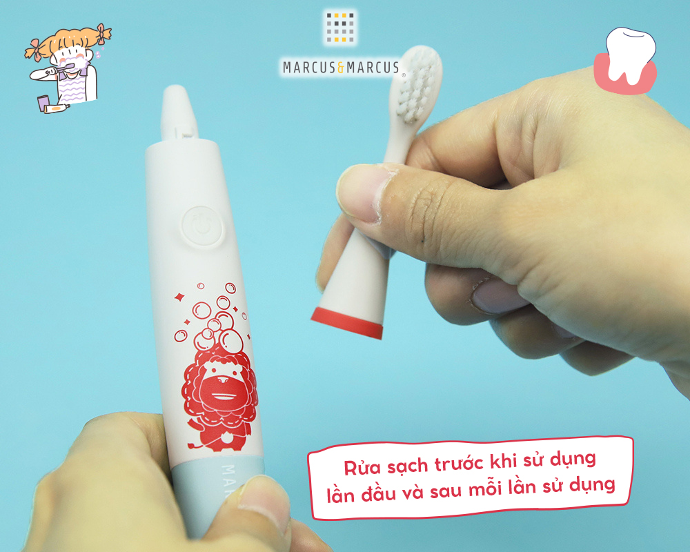 Bộ 3 đầu bàn chải thay thế cho bé Marcus & Marcus (Willo/ Marcus/ Pokey)