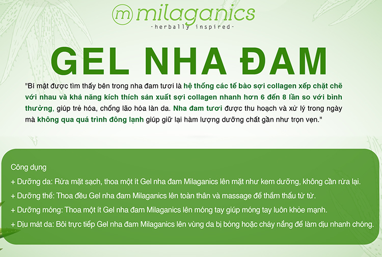 Bộ Sản Phẩm Làm Sạch, Dưỡng Ẩm và Sáng Da Milaganics: Tẩy Tế Bào Chết Cà Phê 280g và Gel Nha Đam 300ml (580g/ Bộ)