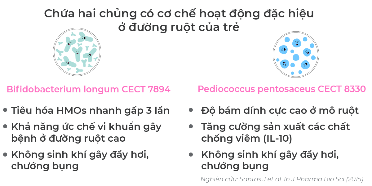 Thành phần men vi sinh ab kolicare