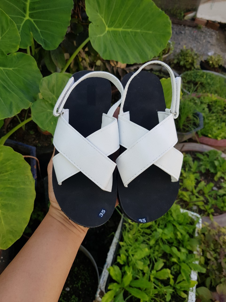 sandal