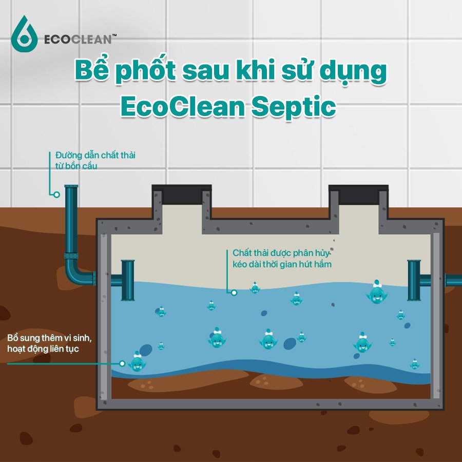 Men Vi Sinh Xử Lý Hầm Cầu Ecoclean septic 1 gói 100g