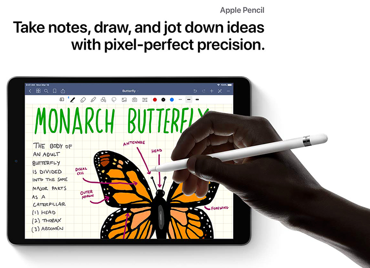 iPad Air 10.5 WiFi + Cellular 256GB New 2019 - Hàng Chính Hãng iPad Air 10.5 WiFi + Cellular 256GB New 2019 - Hàng Chính Hãng