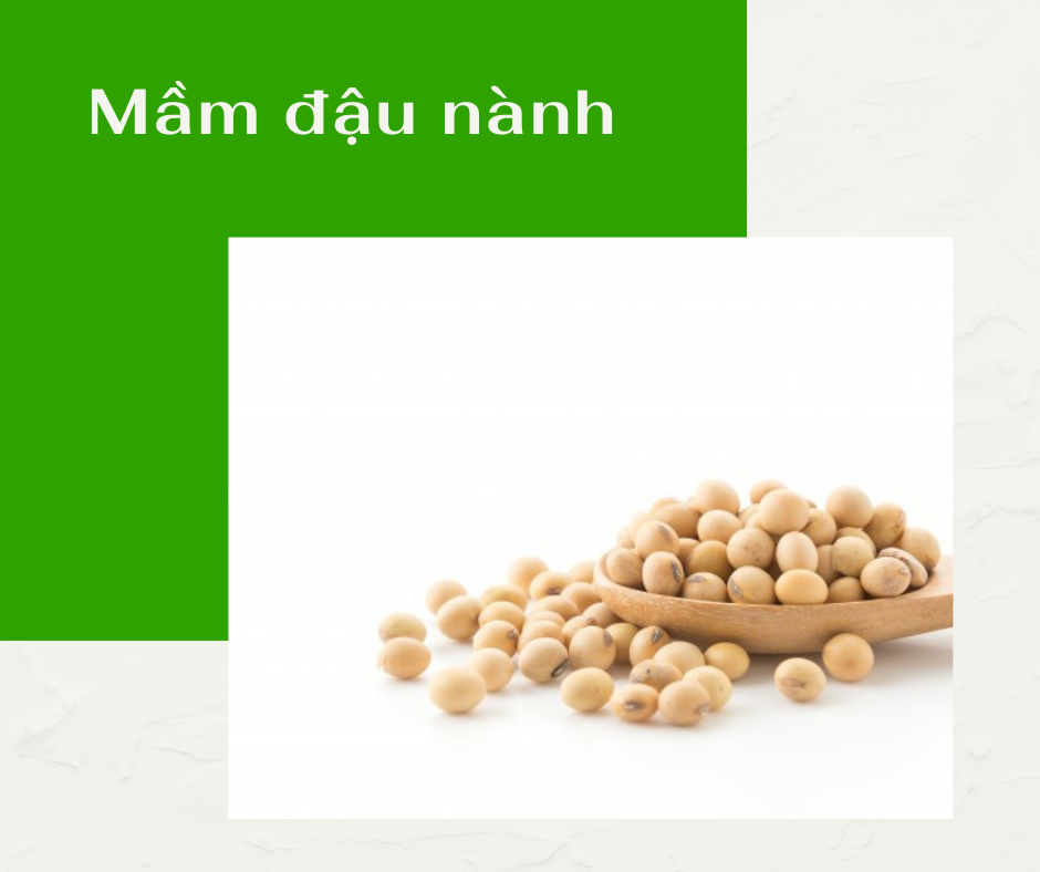 Tinh chất Mầm đậu nành Lecithin Healthy Care 100 viên (Mẫu mới)