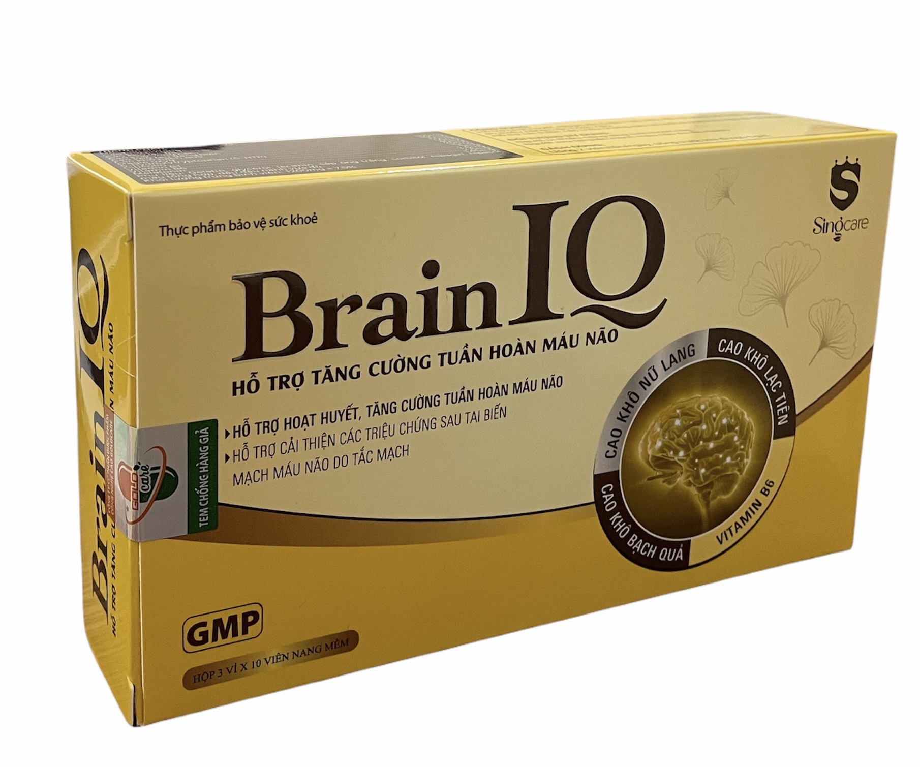 brain IQ