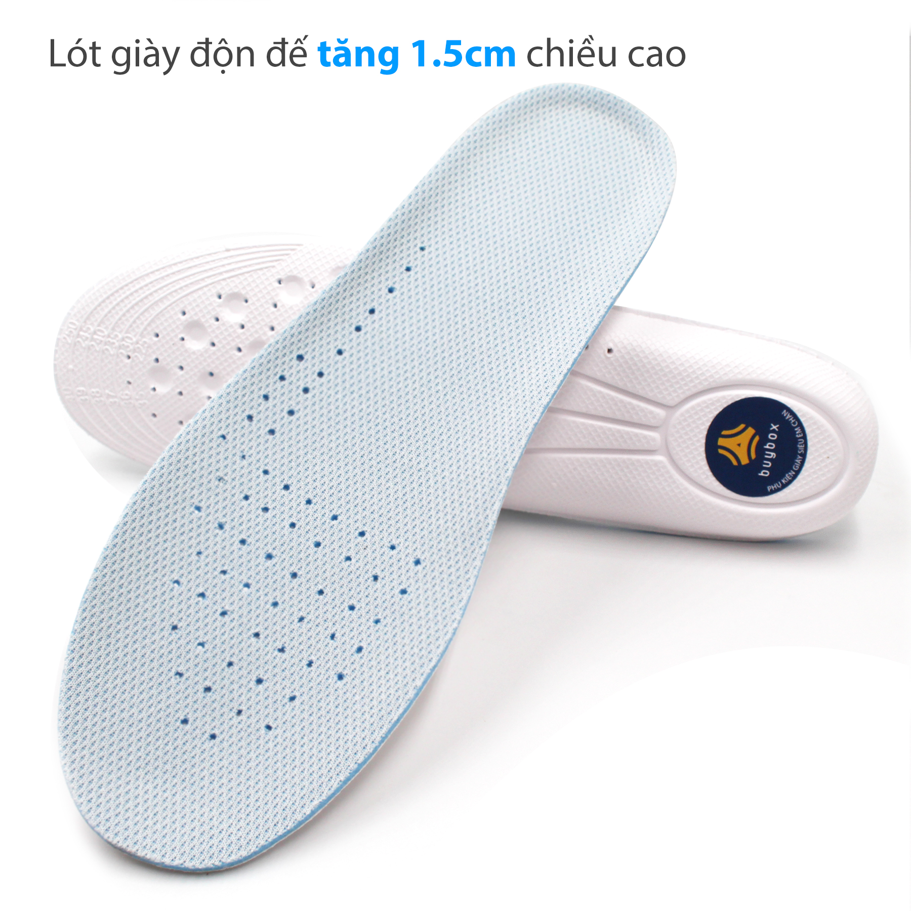 Lót giày độn đế tăng chiều cao buybox tăng 1.5cm