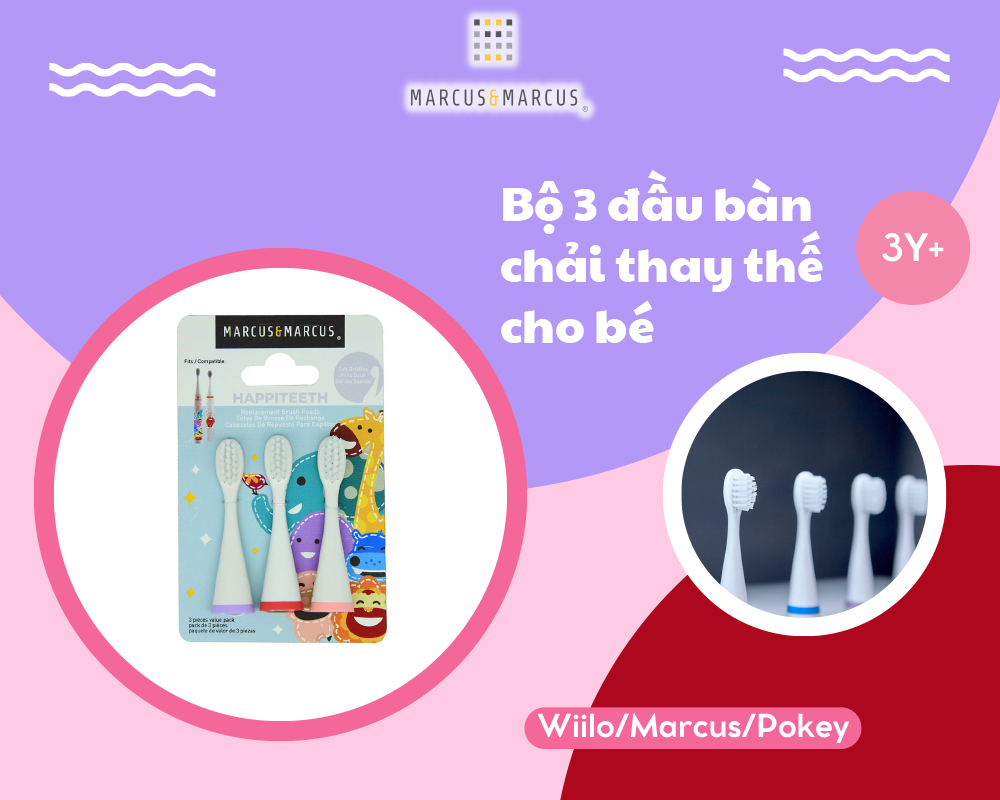 Bộ 3 đầu bàn chải thay thế cho bé Marcus & Marcus (Willo/ Marcus/ Pokey)