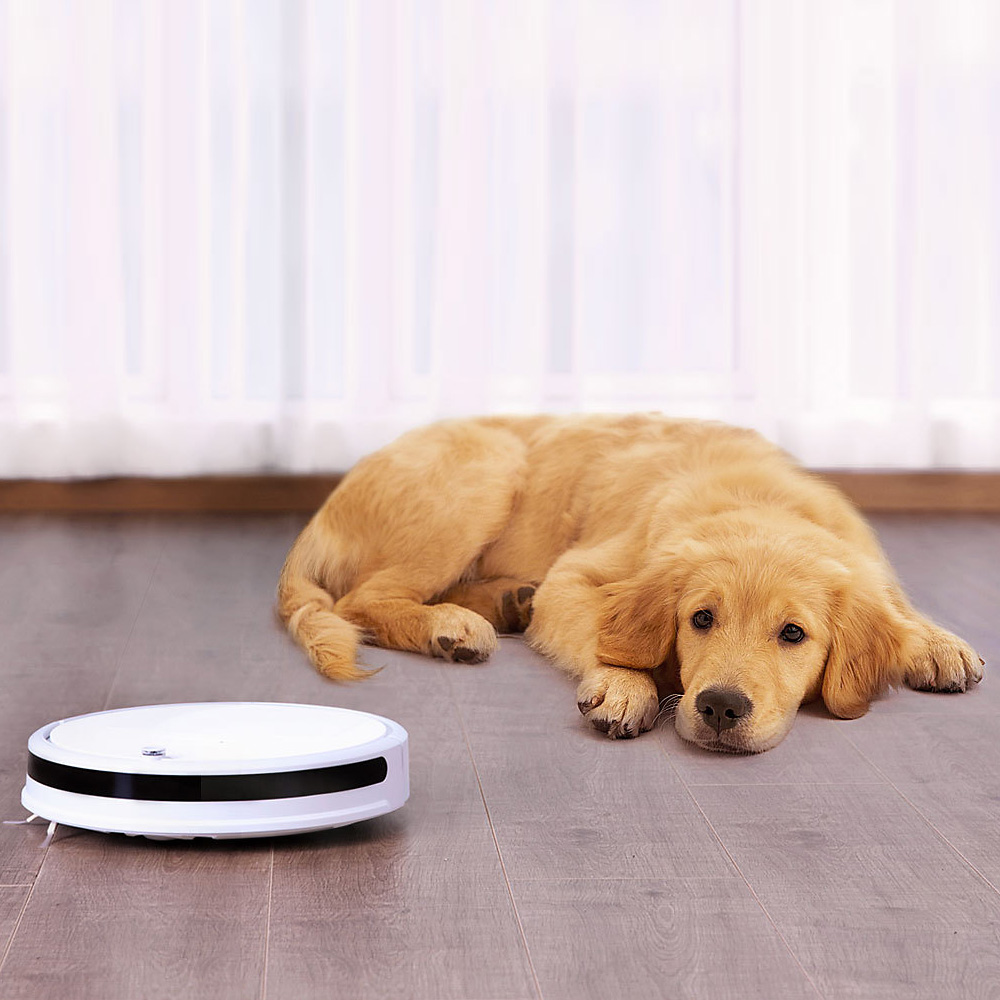 Máy Hút Bụi Xiaomi Mi Xiaowa 1600Pa (2600Mah)