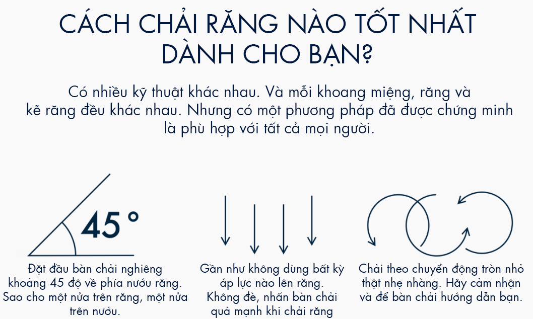 hộp bàn chải răng curaprox cho gia đình 12