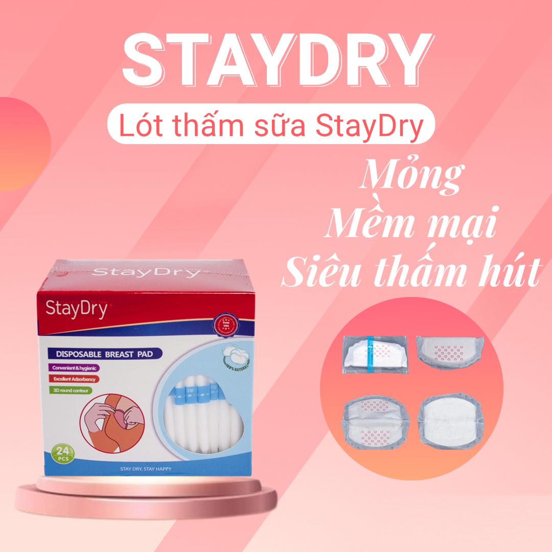 Miếng Thấm lót sữa StayDry (24 miếng)