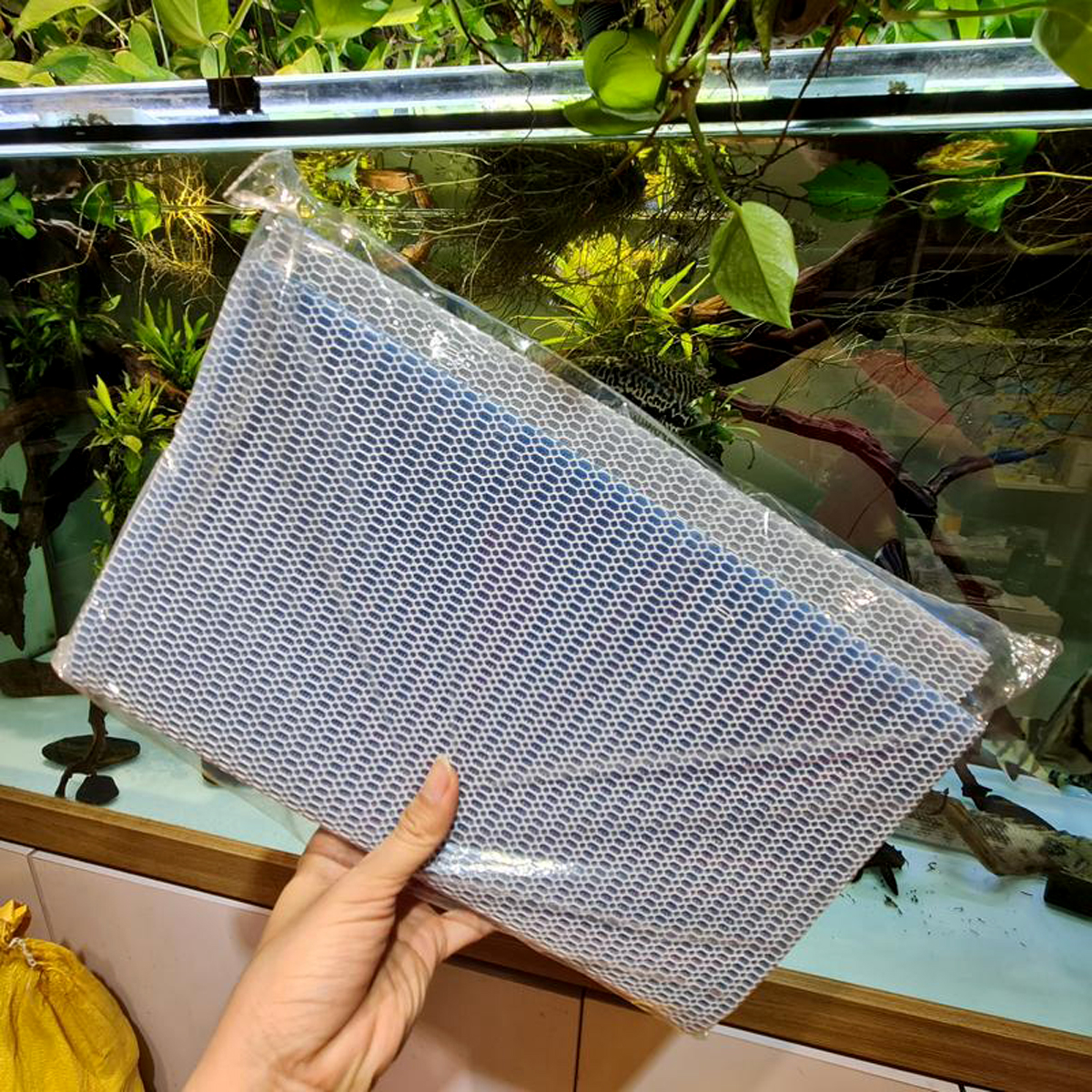 5 Thảm bông lọc Bể Cá loại 6D 50x11x2cm - Lọc sạch cặn bẩn hồ thủy sinh