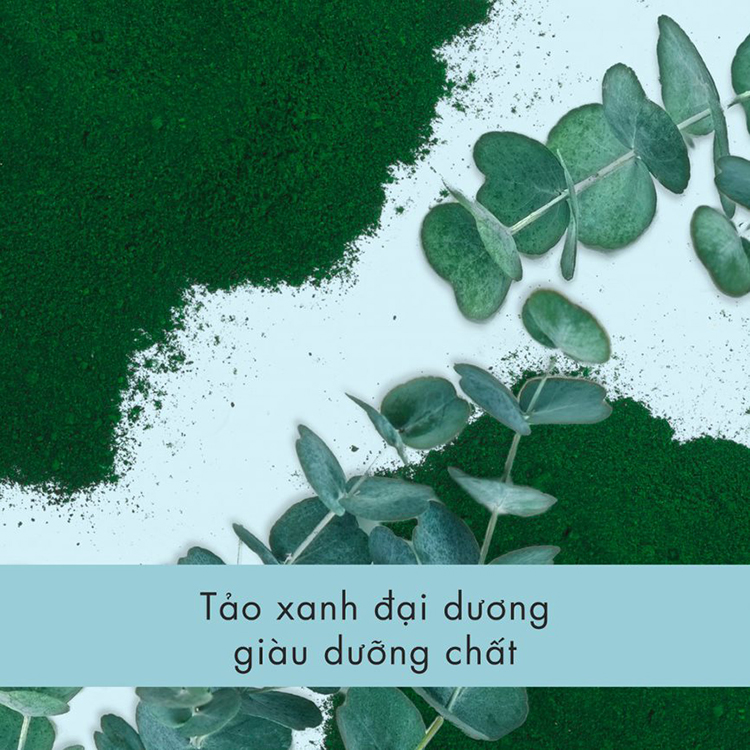 Combo Gội Xả Love Beauty And Planet Tảo Biển Dưỡng Ẩm (400ml x 2)