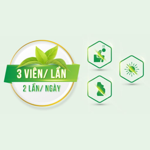 Dưỡng Cốt Bình Đông - Giúp giảm đau thần kinh tọa, giảm đau nhức xương khớp - hộp 60 viên nang