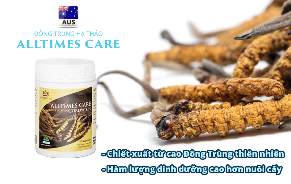Thực phẩm Bảo vệ Sức khỏe Đông Trùng Hạ Thảo Alltimes Care (Hộp 60 viên)