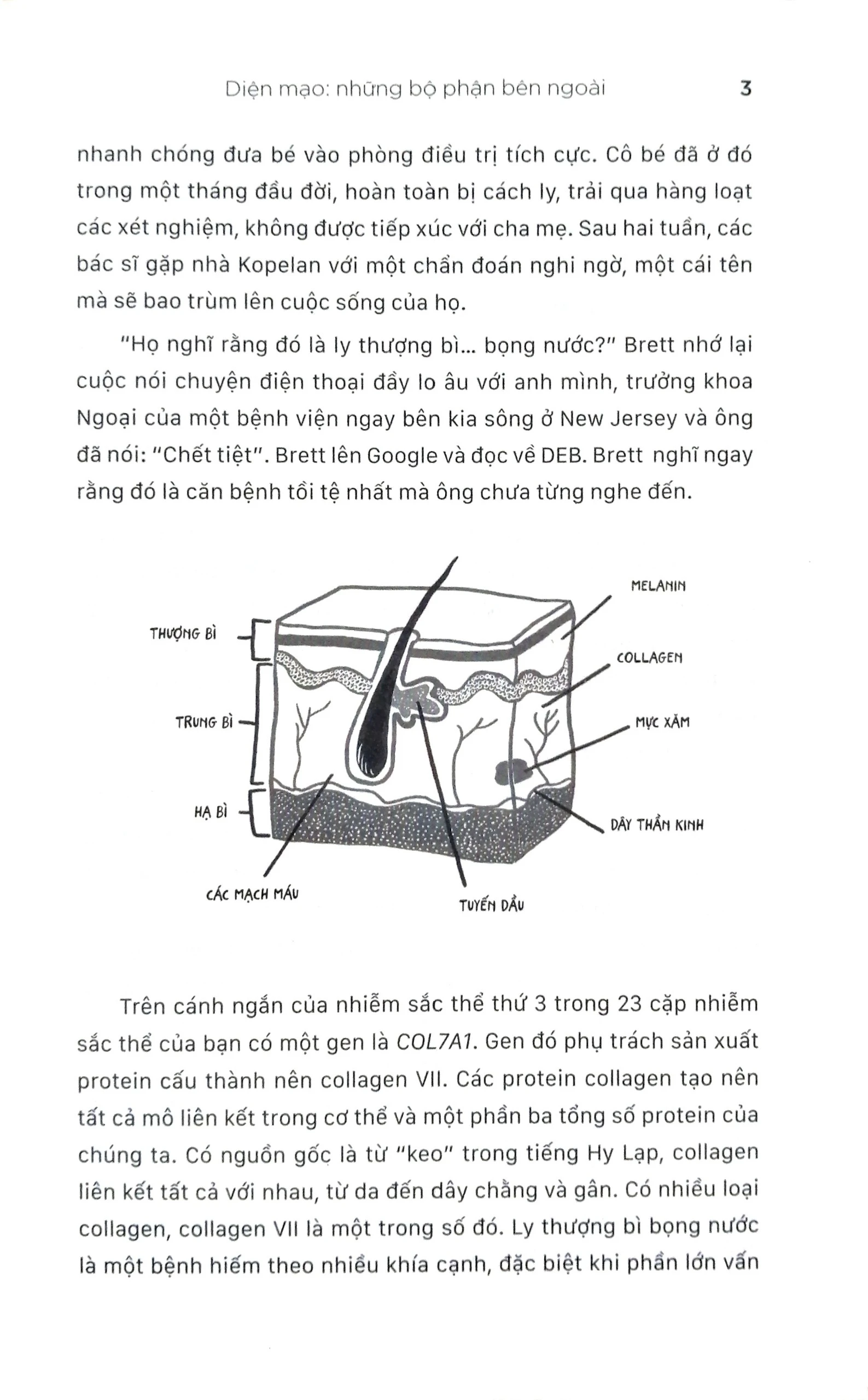 Lắng Nghe Cơ Thể