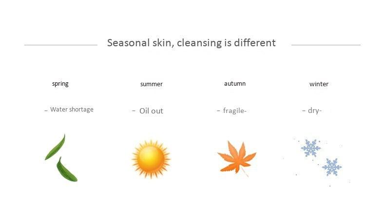 Bộ Sản Phẩm Rửa Mặt Thảo Dược The Face Shop (Bộ 4 Sản Phẩm)