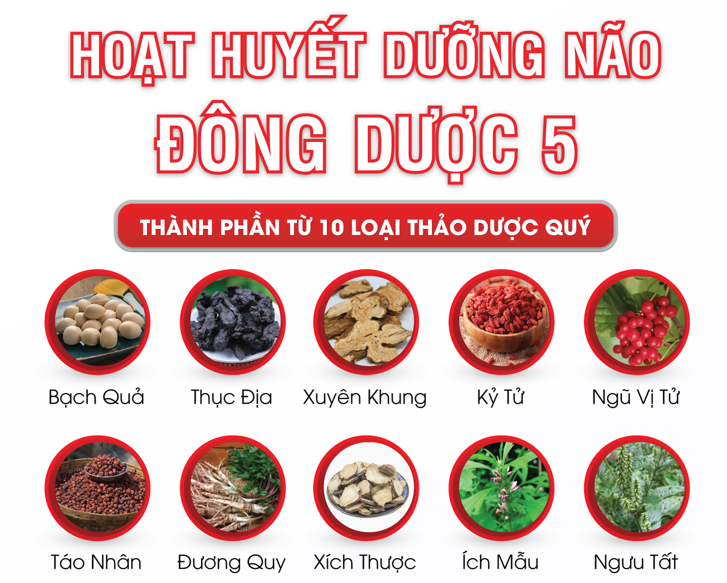 hoạt huyết dưỡng não đông dược 5 - phòng ngừa đột quỵ não (combo 3 hộp giảm 10%) 3