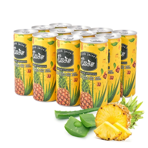 Thùng nước ép Dứa - nha đam ( 30 lon)
