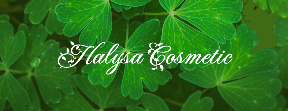 Son Môi Matte Halysa 