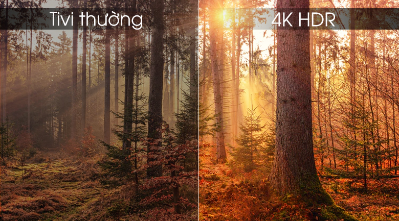 Android Tivi OLED Sony 4K 55 inch KD-55A9F - Hàng chính hãng