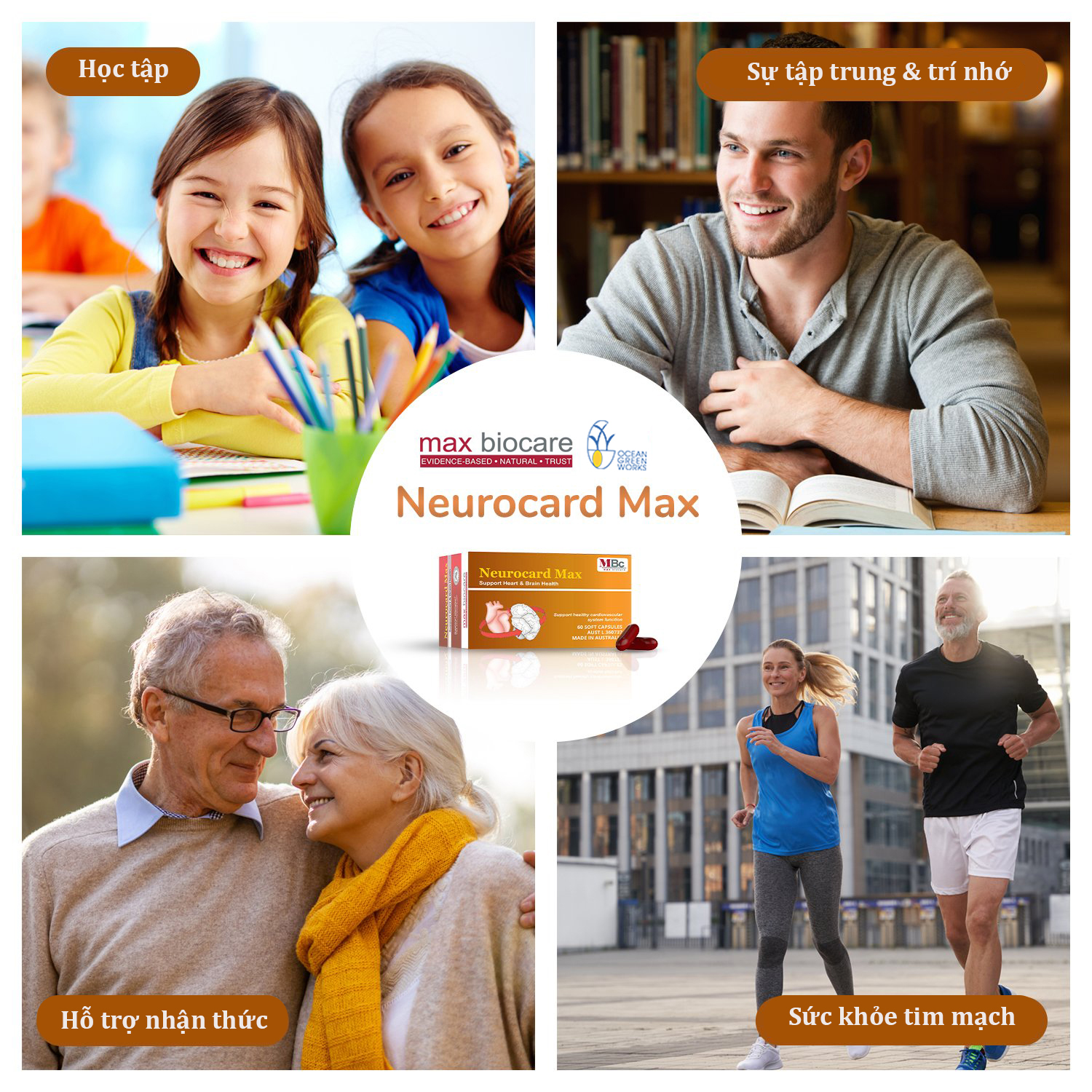 NEUROCARD MAX từ Max Biocare Cải Thiện Trí Nhớ và Bảo Vệ Tim Mạch ( Hộp 60 viên)