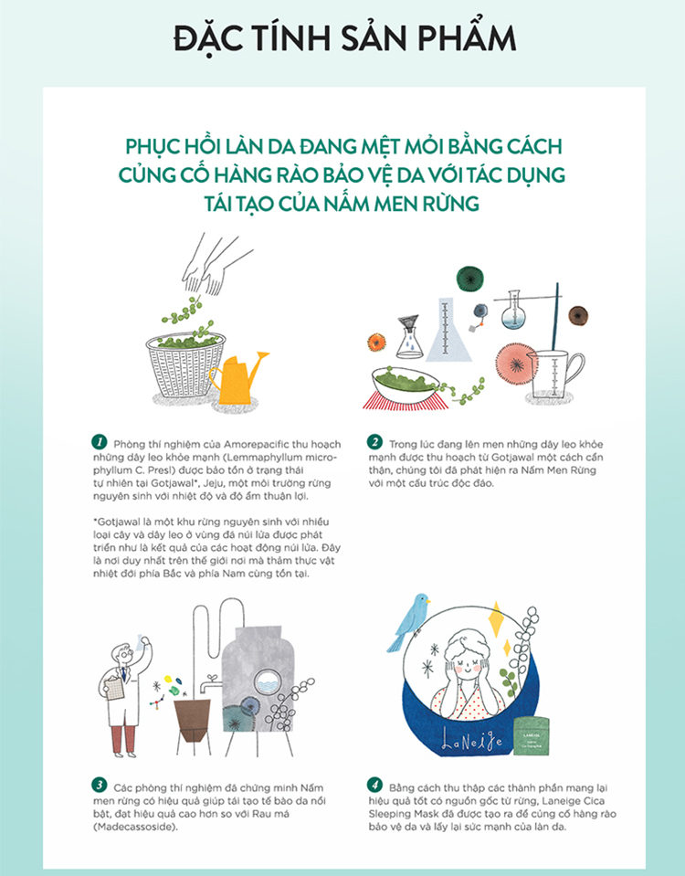 Mặt Nạ Ngủ Giúp Phục Hồi Và Tăng Cường Hàng Rào Bảo Vệ Da Laneige Cica Sleeping Mask 60Ml