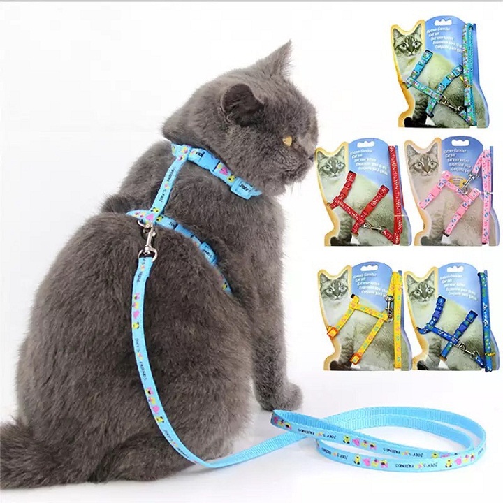 Dây dắt mèo hoạt hình siêu dễ thương màu ngẫu nhiên Xudapet