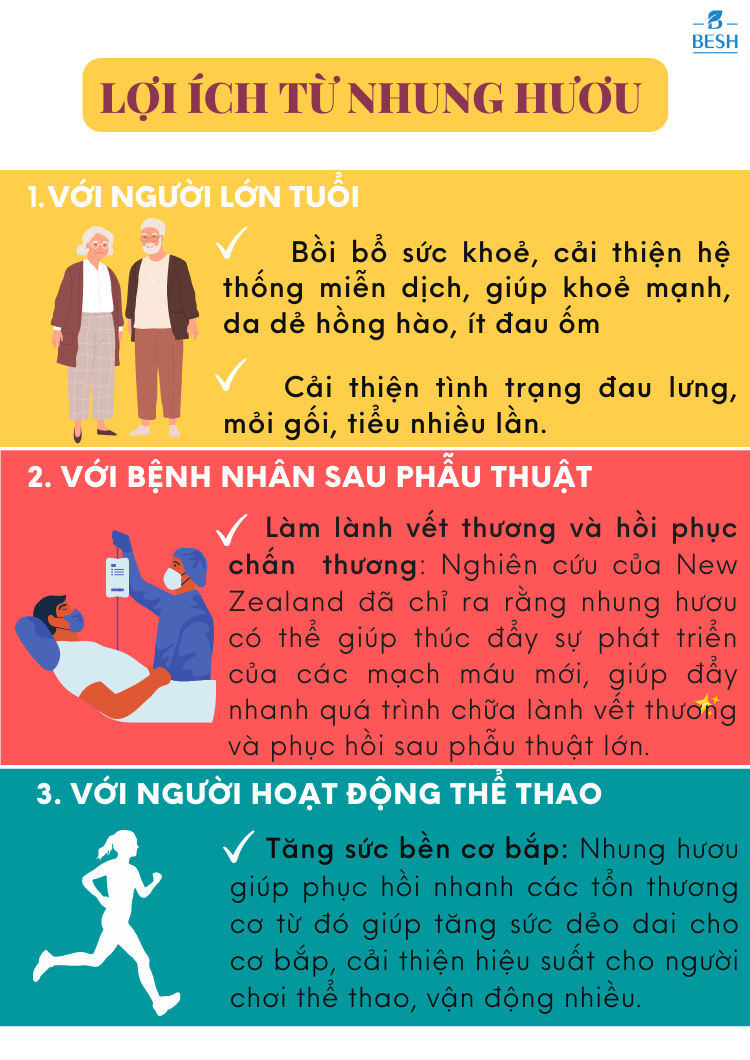 Nhung Hươu Uncle Bill Pure Canadian Elk Hộp 30 Viên, Nhập Khẩu Canada, Từ 75 Phần Nhung Tươi Yên Ngựa Của Loài Hươu Đỏ Sừng Tấm (Cervus Elaphus Canadensis) Mới Tạo Ra 1 Phần Nhung Hươu Tinh Chất, Món Quà Sức Khoẻ 