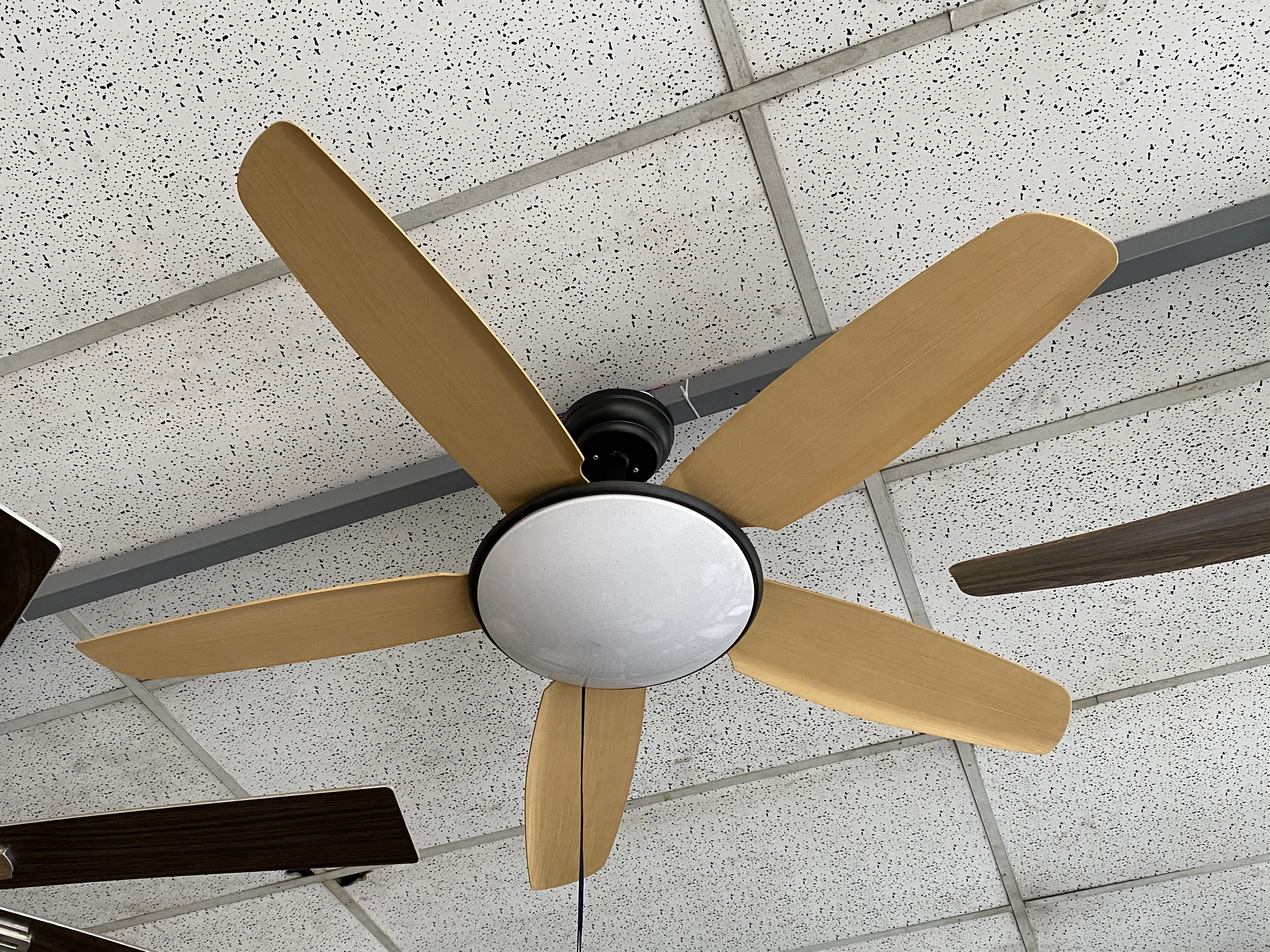 fan699v