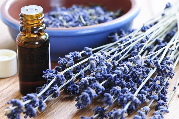tinh dầu oải hương - lavender