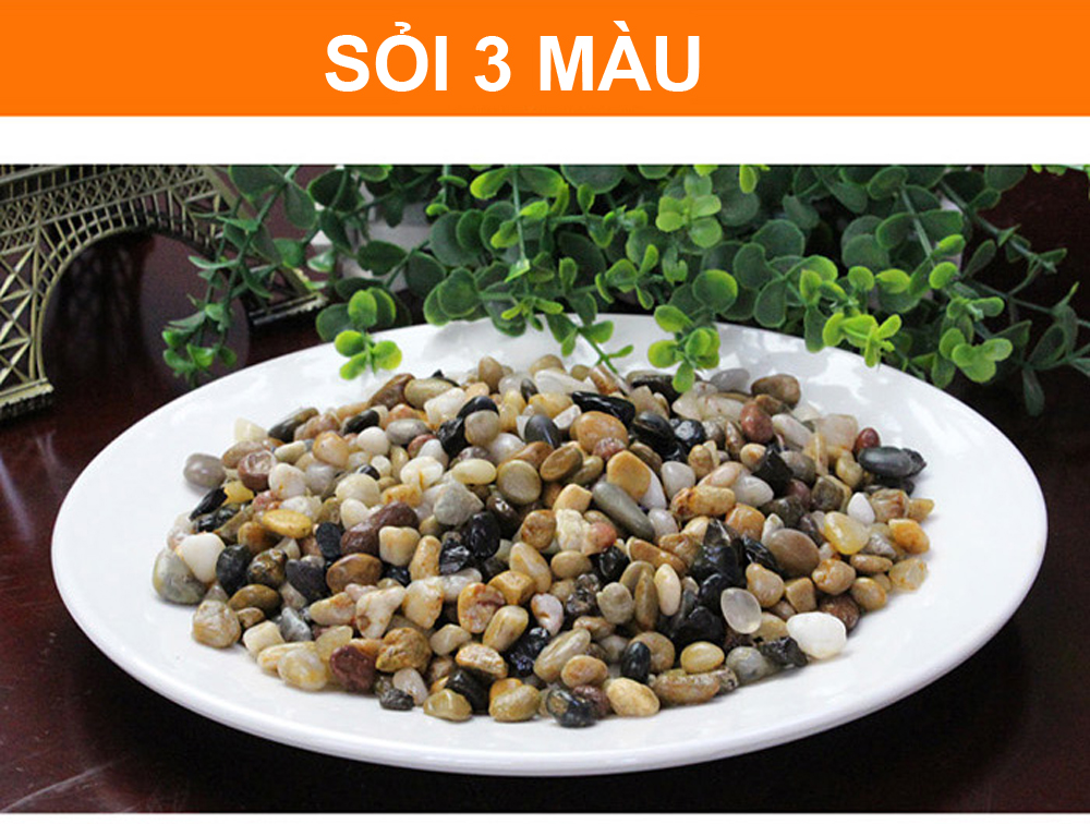 Sỏi Suối 3 Màu (1.2KG, size to ) - Trang Trí Bể Cá, Thủy Sinh, Tiểu Cảnh, Lọc Nước Hiệu Quả