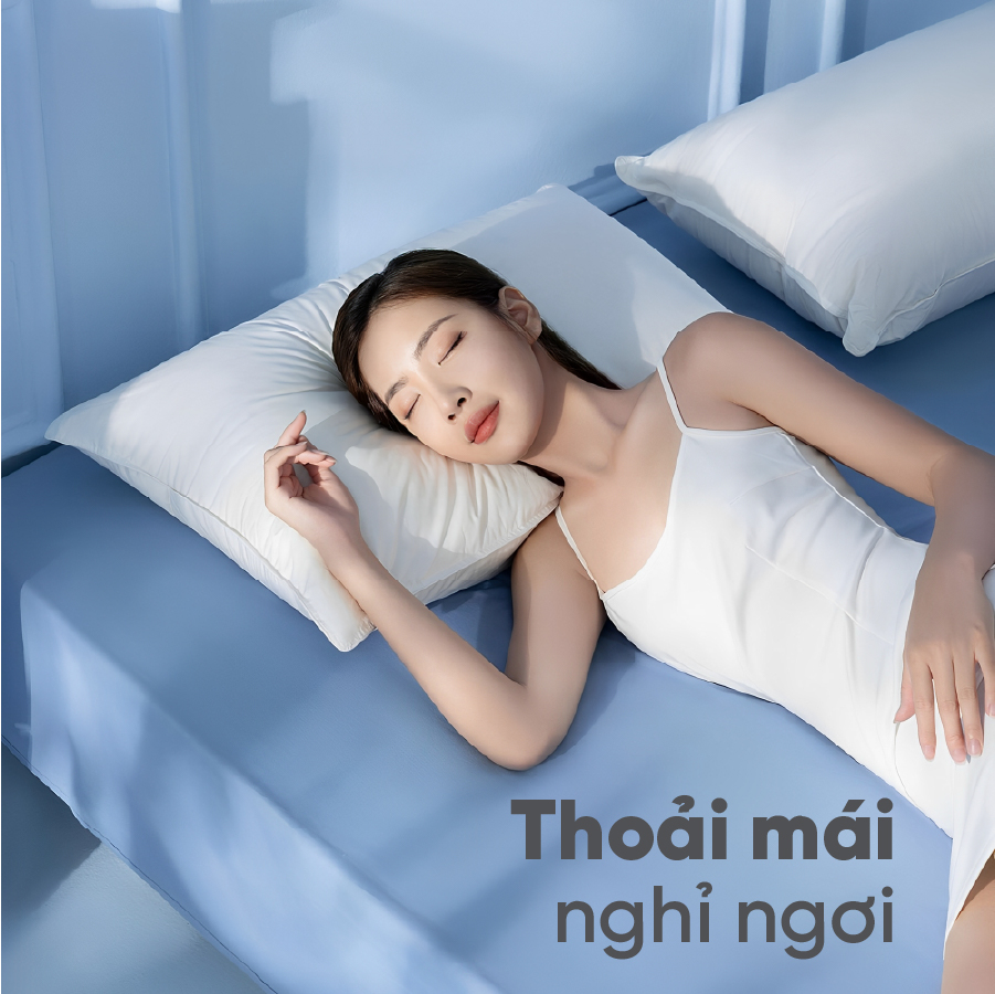 Gối Nằm Gòn TATANA Cao Cấp 50X70cm- Hút Chân Không, Bông Gòn Trắng Cao Cấp.