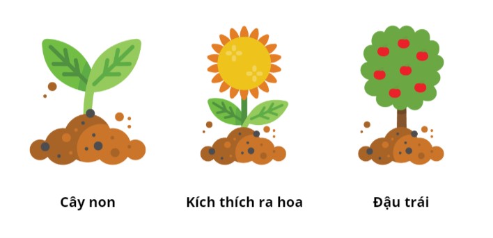 Pha với nước tưới